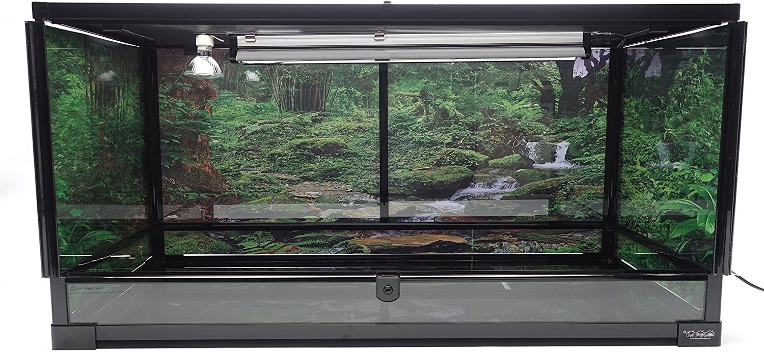 Best Guide in Making A Front Opening Terrarium in 2021