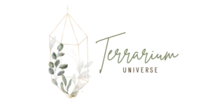 Terrarium Universe